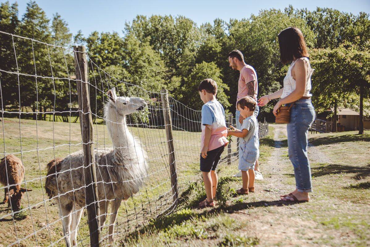 Campsite La Guyonnière, France, Vendée, Saint-Julien-des-Landes