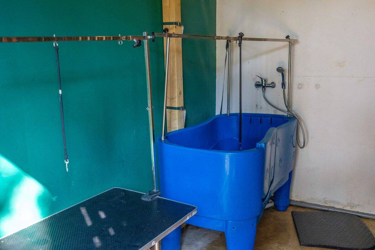 Campsite Marina Family Village, Italy, Emilia Romagna