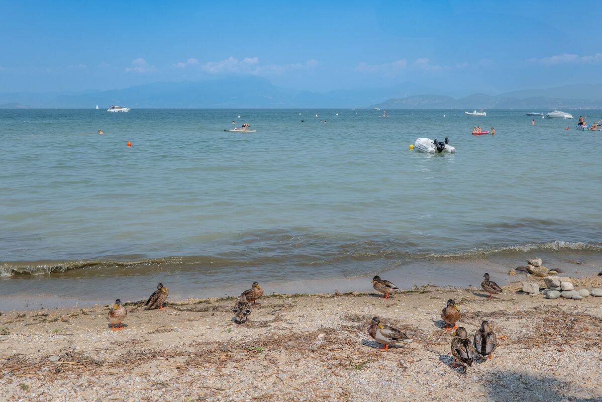 Campeggio Gasparina, Italia, Lago di Garda