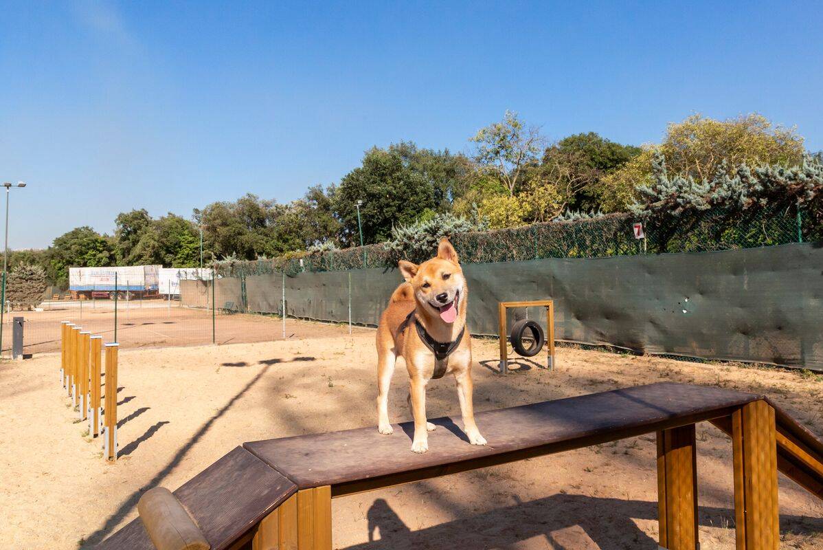 Camping Hu Fabulous Village, Italia, Lacio, Roma