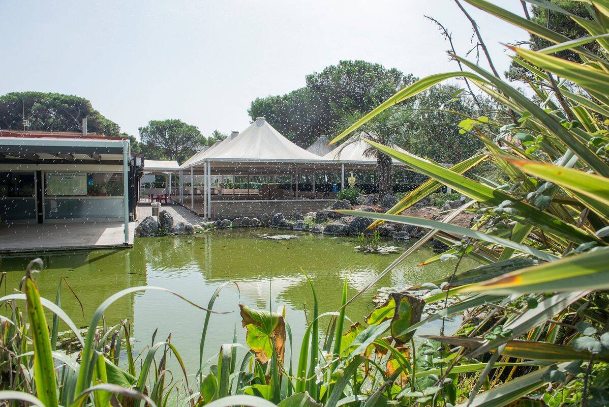 Camping Baia Domizia, Italia