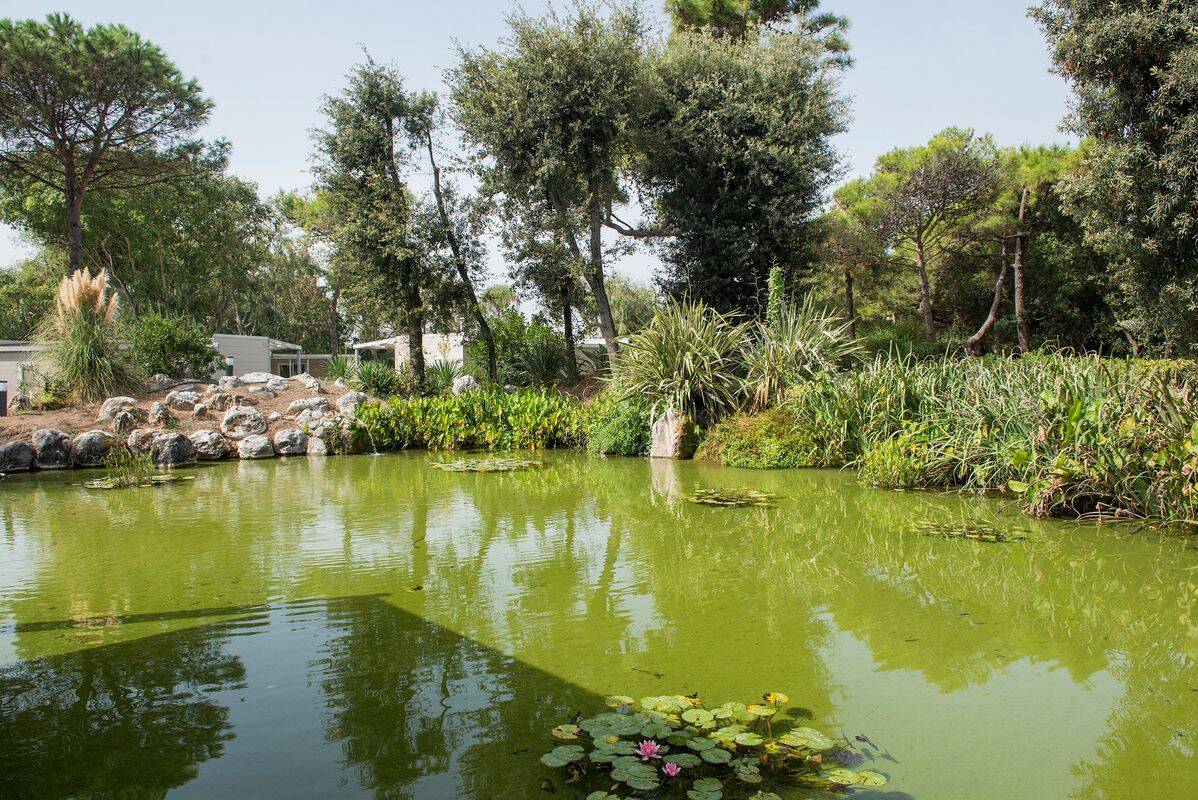 Camping Baia Domizia, Italia