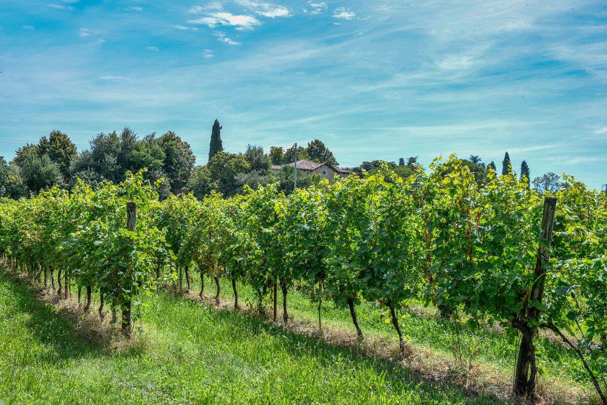 Campeggio Eurocamping Pacengo, Italia, Lombardie