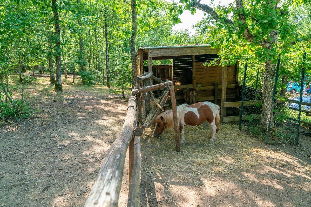 Campeggio Orlando in Chianti, Italia, Toscana