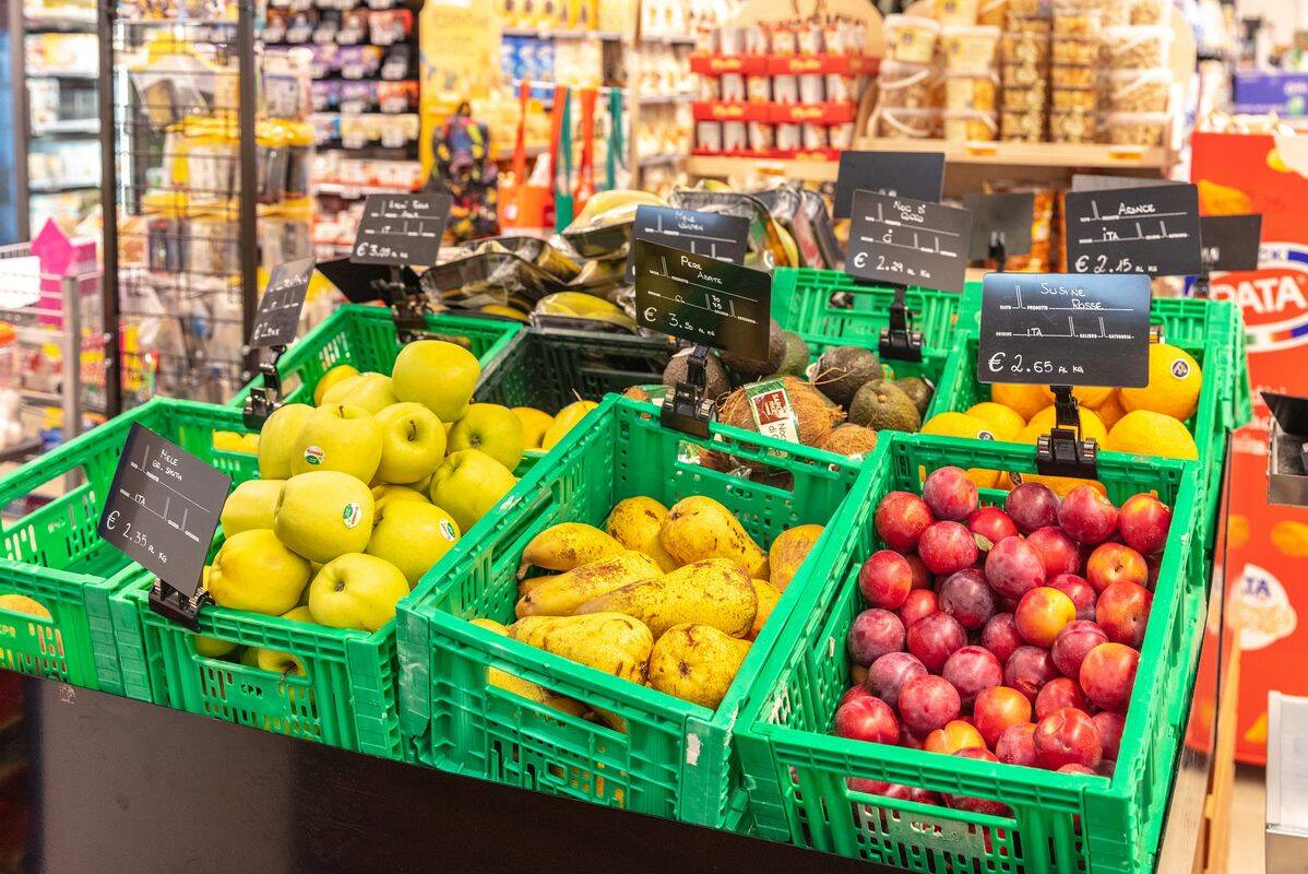 Camping Hu Montescudaio Village, Italia, Toscana