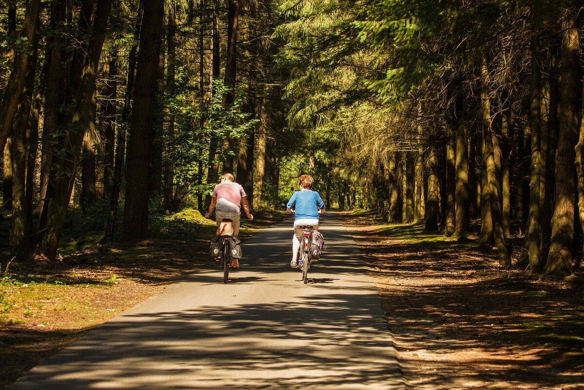Camping De Bergen, Holanda, Wanroij