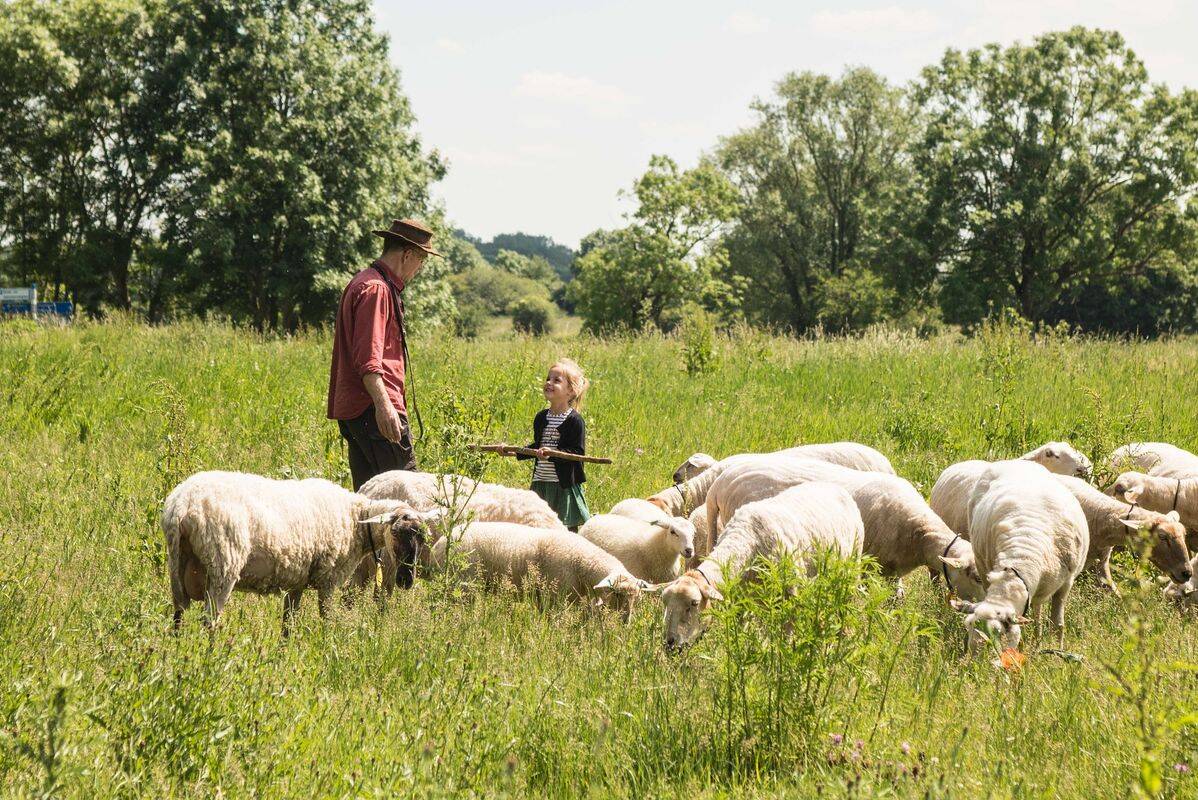 Camping De Bergen, Holanda, Wanroij