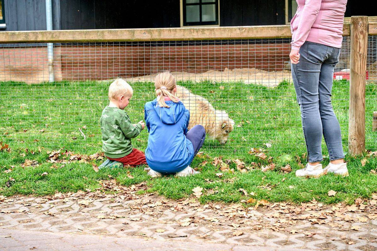 Campeggio De Twee Bruggen, Olanda