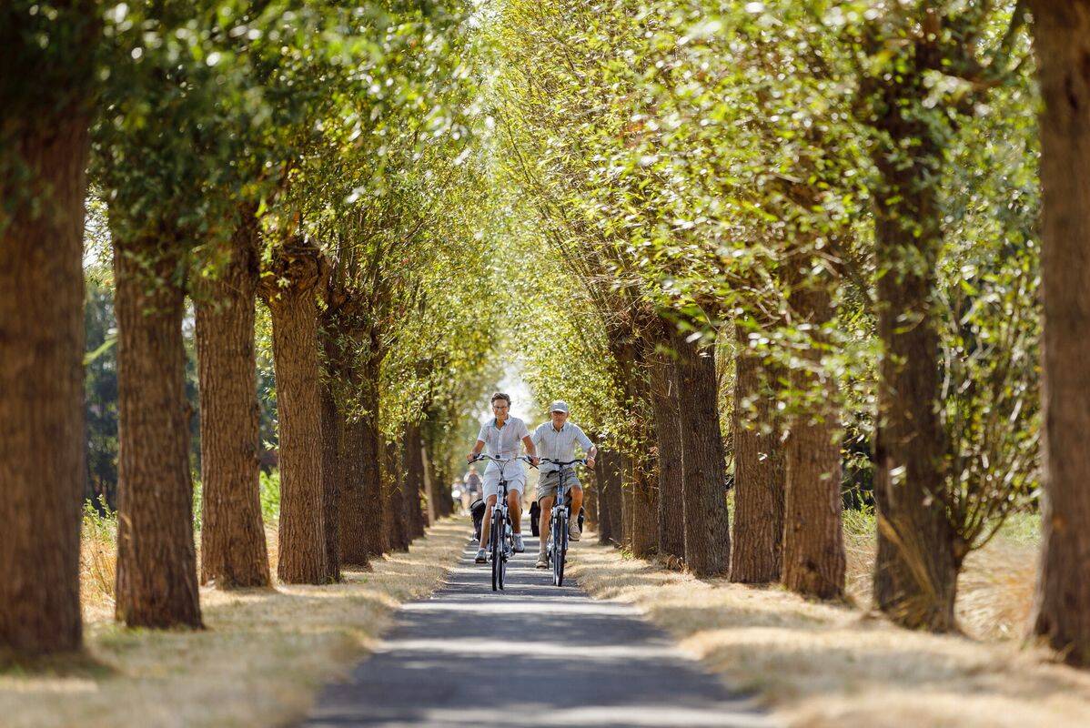 Campeggio Flaasbloem, Olanda