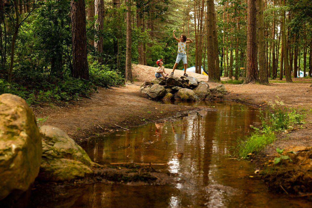 Campeggio Flaasbloem, Olanda