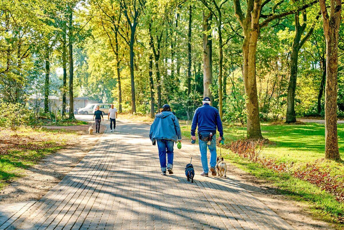 Campeggio Flaasbloem, Olanda
