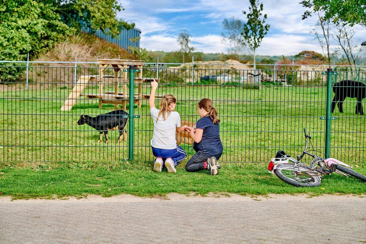 Campeggio Flaasbloem, Olanda