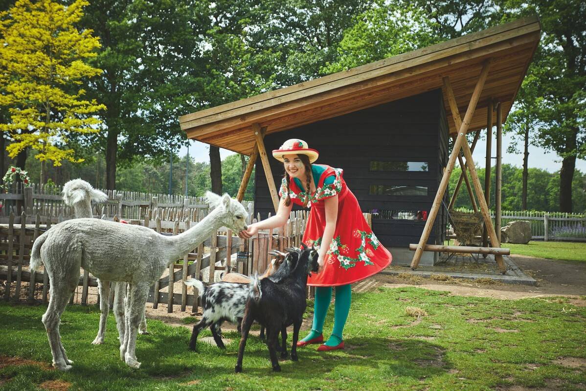 Camping Ter Spegelt, Holanda