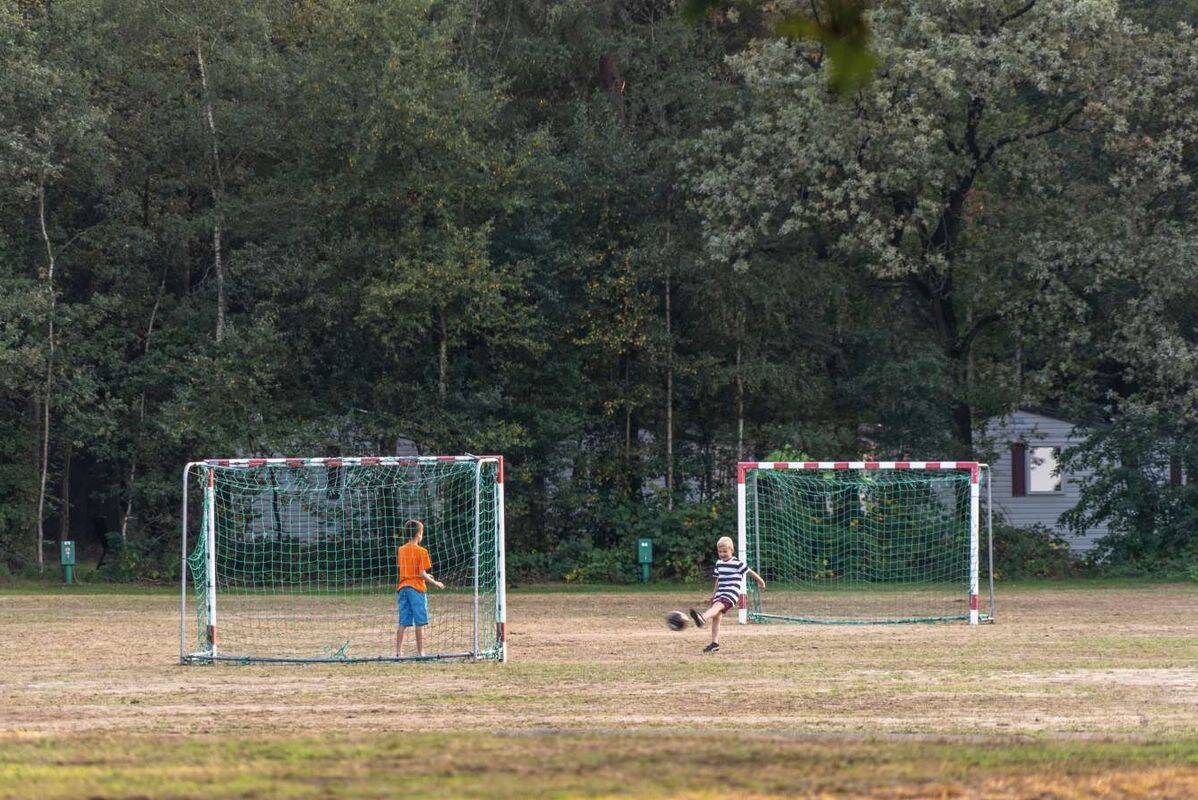 Camping Beekse Bergen, Pays-Bas, Noord-Brabant, Hilvarenbeek