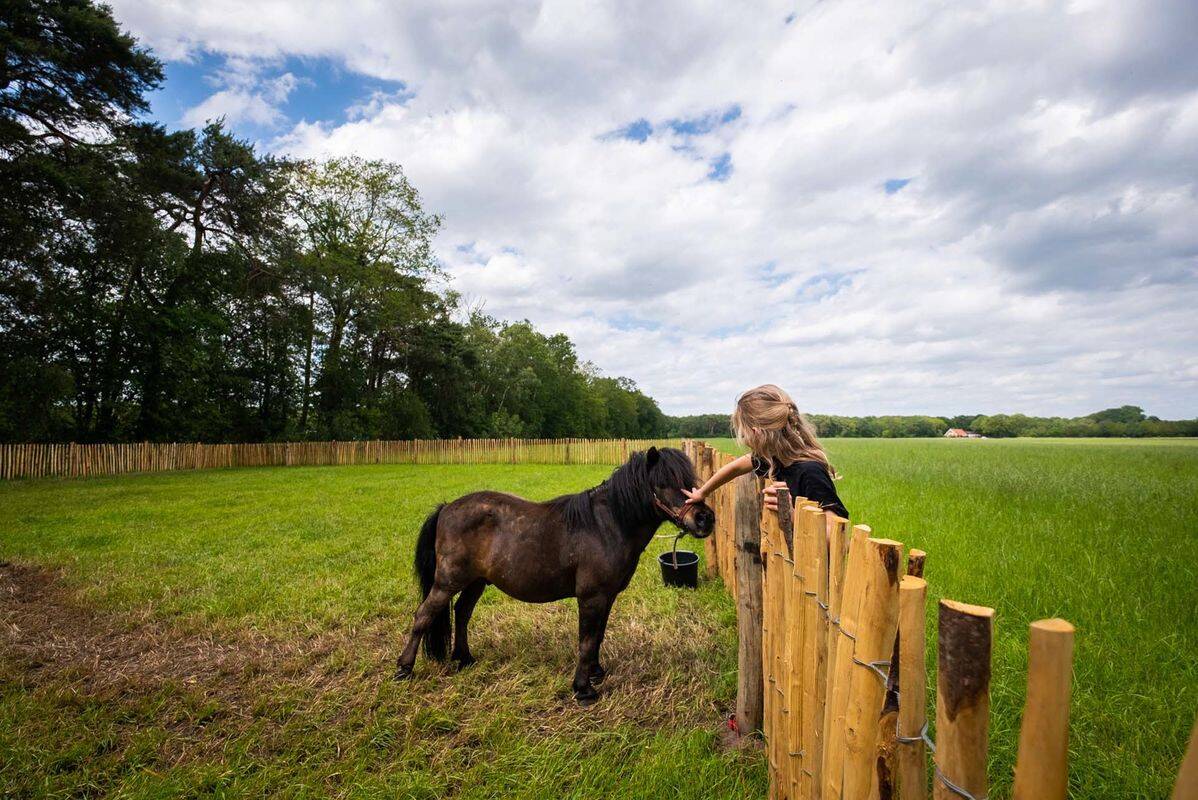 Campeggio Papillon Country Resort, Olanda
