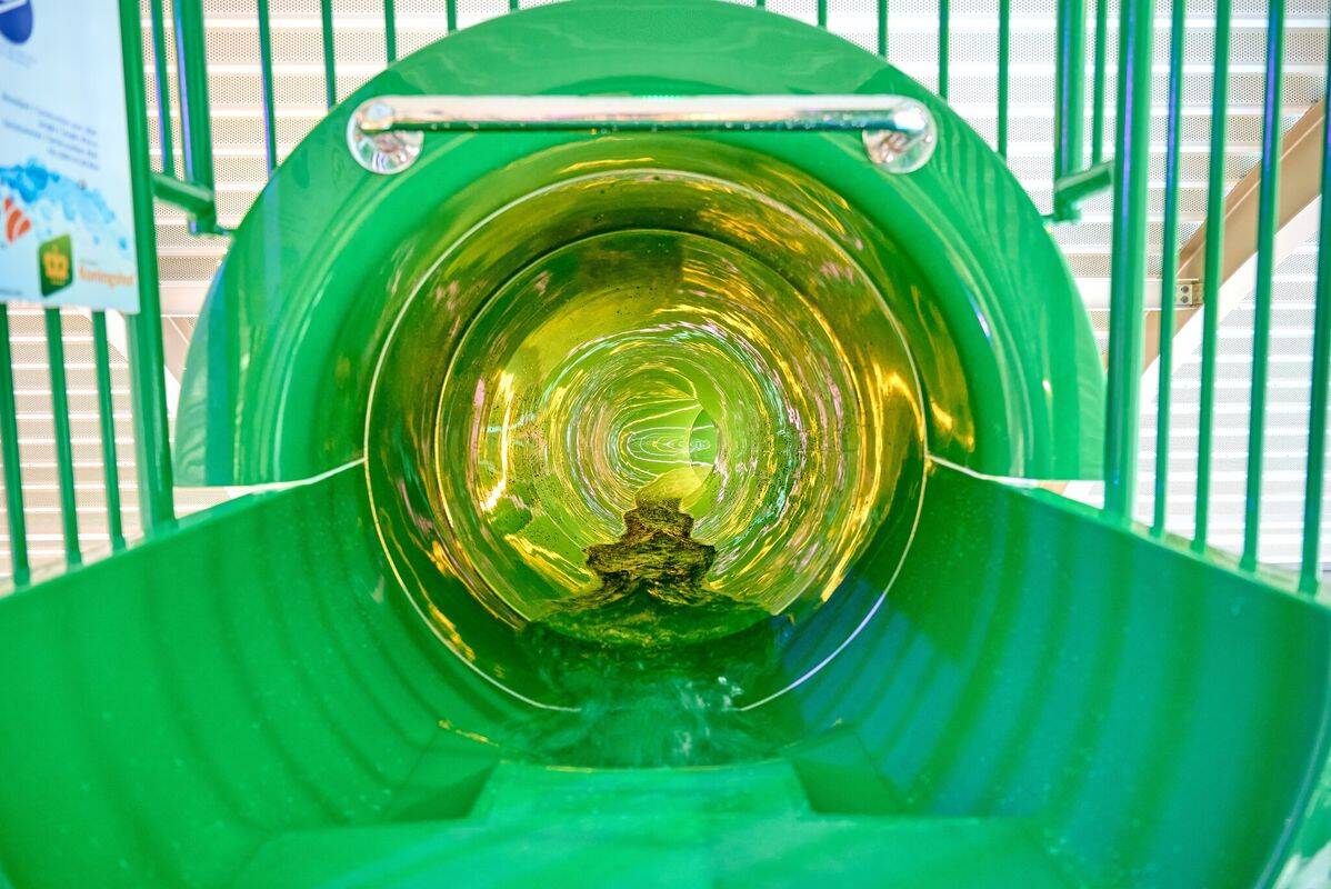 Campeggio Koningshof, Olanda