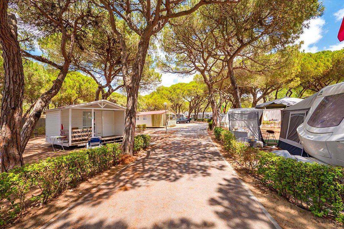 Campeggio Orbitur Costa da Caparica