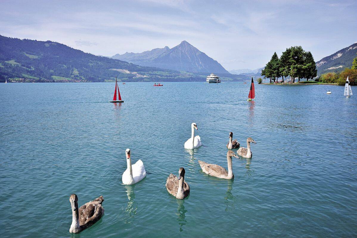 Campeggio Manor Farm, Svizzera