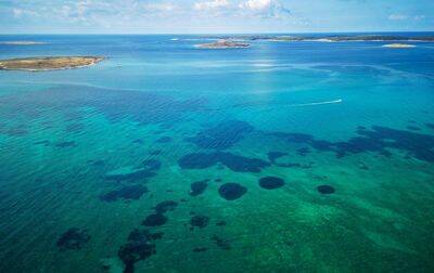 Campsite Grand Kazela, Croatia, Istria