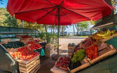 Campsite Brioni Sunny Camping, Croatia, Istria, Pula