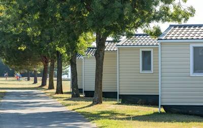 Campsite Park Umag, Croatia, Istria, Umag