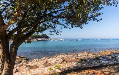 Campsite Park Umag, Croatia, Istria, Umag