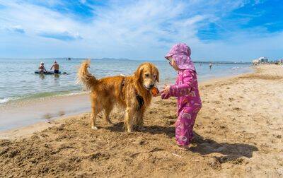 Campsite Castell Mar, Spain, Costa Brava, Empuriabrava