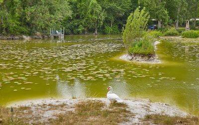 Campsite Le Parc des Allais, France