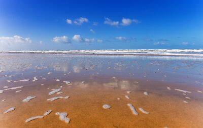 Campsite Les Couleurs de la Coubre, France, Charente Maritime