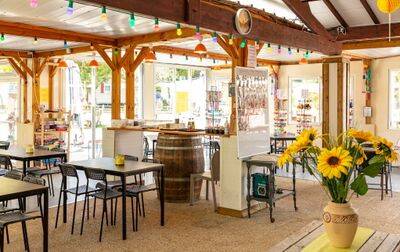 Campsite Les Catalpas de Royan, France, Charente Maritime