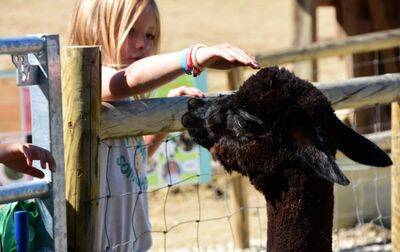 Camping Le Camp de Florence, Frankrijk, Gers