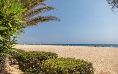 Campsite CAMPING LE NEPTUNE, France, Languedoc Roussillon, Argelès sur Mer
