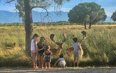 Campsite Les Fontaines, France, Languedoc Roussillon, Canet-en-Roussillon