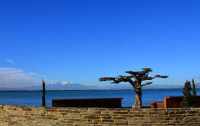 Campsite L'Oasis & California, France, Languedoc Roussillon, Le Barcarès