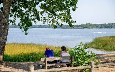 Campsite Rivages des Landes, France, Landes