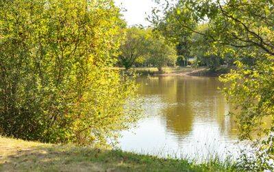 Campsite Cœur de Vendée, France