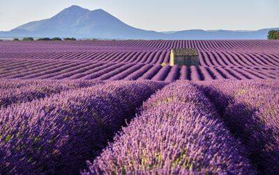 Camping Verdon Parc, France, Provence Côte d'Azur, Gréoux les Bains