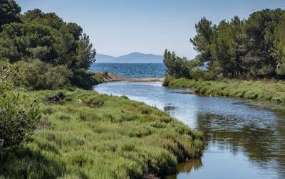 Camping Port Pothuau, France, Provence Côte d'Azur, Hyères les Palmiers