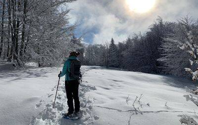 Campsite Belledonne , France