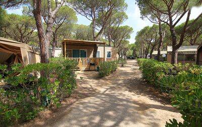 Campingplatz Ville Degli Ulivi, Italien, Toskana