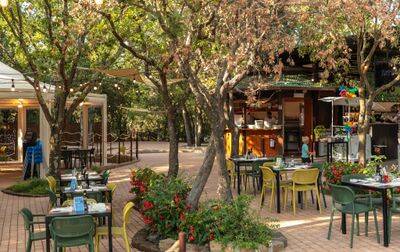 Campsite Hu Montescudaio Village, Italy, Tuscany