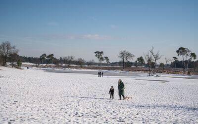 Campsite Marvilla Parks Kaatsheuvel, Netherlands