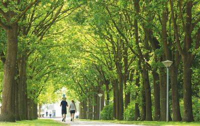 Camping De Twee Bruggen, Nederland, Gelderland