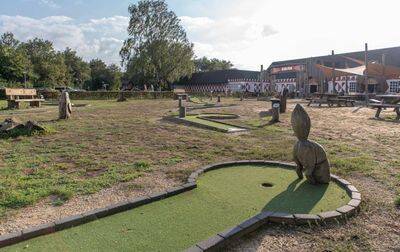 Campsite Beekse Bergen, Netherlands