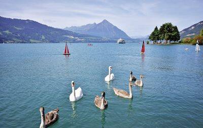 Campsite Manor Farm, Switzerland